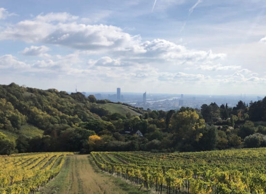 trailrun wien